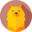 Pomeranian ícono 64x64