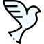 Dove icon 64x64