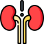 Kidney 상 64x64
