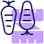 Carrot icon 64x64