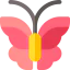 Butterfly icon 64x64