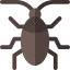 Cockroach icon 64x64