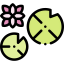 Lotus icon 64x64