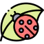 Ladybird icon 64x64