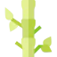 Bamboo icon 64x64