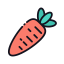 Carrot ícone 64x64