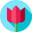 Tulip ícono 64x64