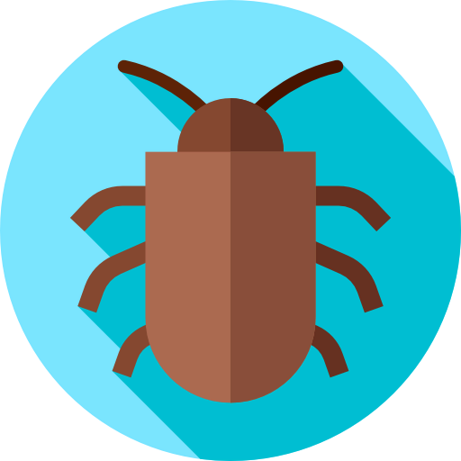 Beetle icon