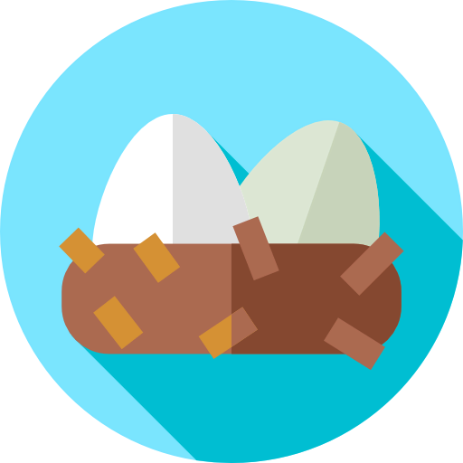Nest icon