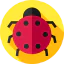 Ladybird icône 64x64