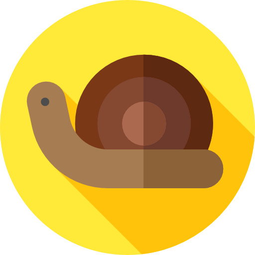 Snail icône