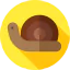 Snail icon 64x64