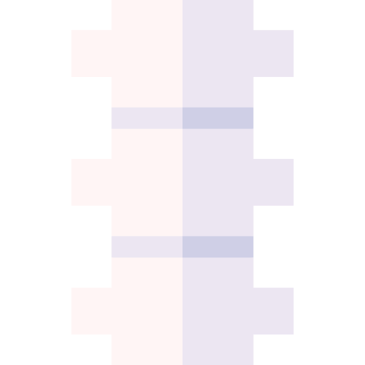Spine icon