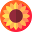 Sunflower Ikona 64x64