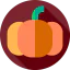 Pumpkin icône 64x64