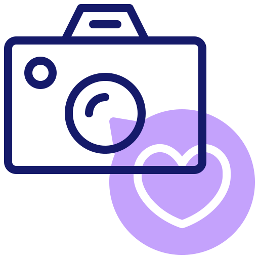 Photo cameras icon
