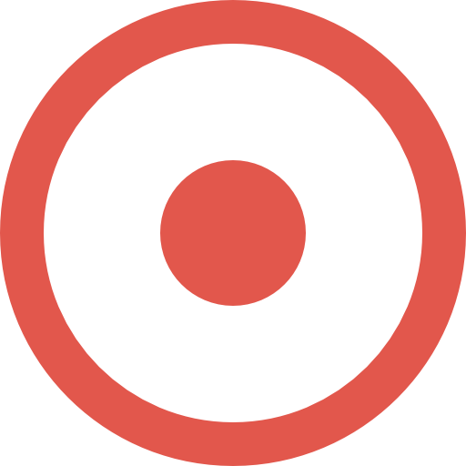 Record icône