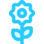 Flower ícono 64x64