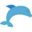 Dolphin ícone 64x64