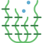 Seaweed icon 64x64