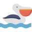 Pelican icône 64x64