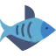 Fish 상 64x64
