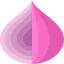 Onion icon 64x64