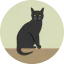 Black cat 图标 64x64