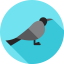 Crow Symbol 64x64
