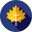 Maple leaf іконка 64x64
