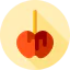 Caramelized apple іконка 64x64