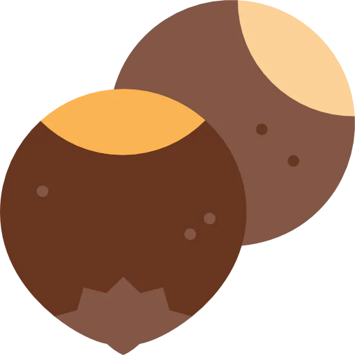 Hazelnuts icon