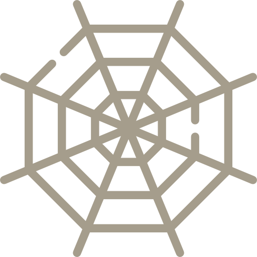 Spider web 图标