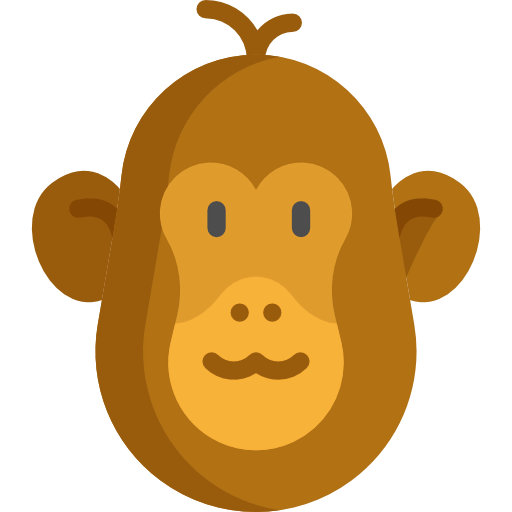 Monkey 상