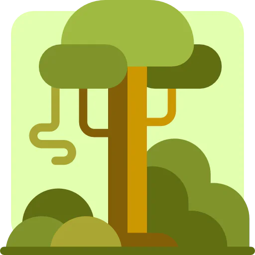 Rainforest Ikona