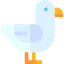 Seagull icon 64x64