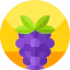 Grapes icône 64x64