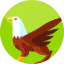 Griffin icône 64x64