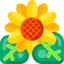 Sunflower アイコン 64x64