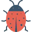 Ladybug ícono 64x64
