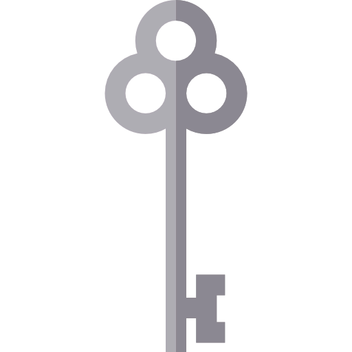 Key icon