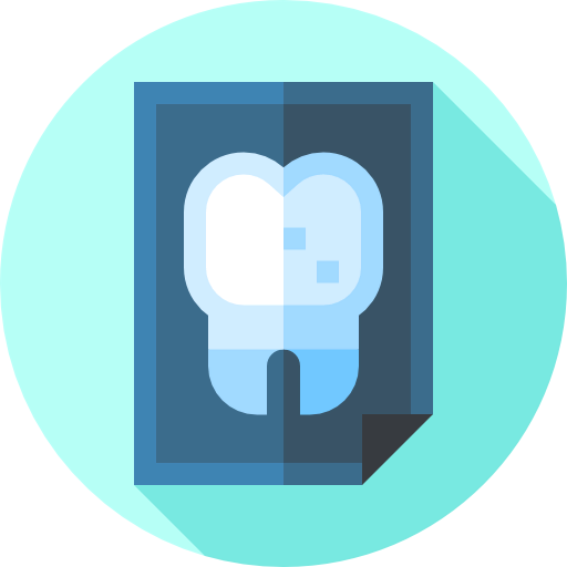 X ray icon