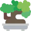 Bonsai icon 64x64