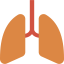 Lungs 图标 64x64