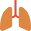 Lungs icon 64x64