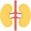 Kidneys Symbol 64x64