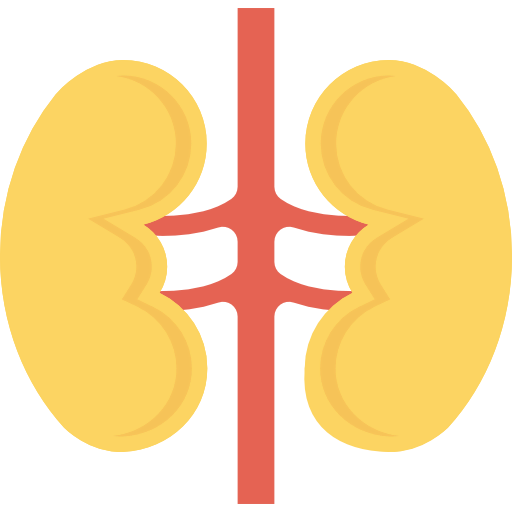 Kidneys 图标