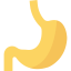 Stomach icon 64x64