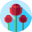 Roses icône 64x64