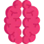 Brain 图标 64x64